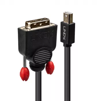 Cavo Mini DisplayPort a DVI Lindy 1 m, nero