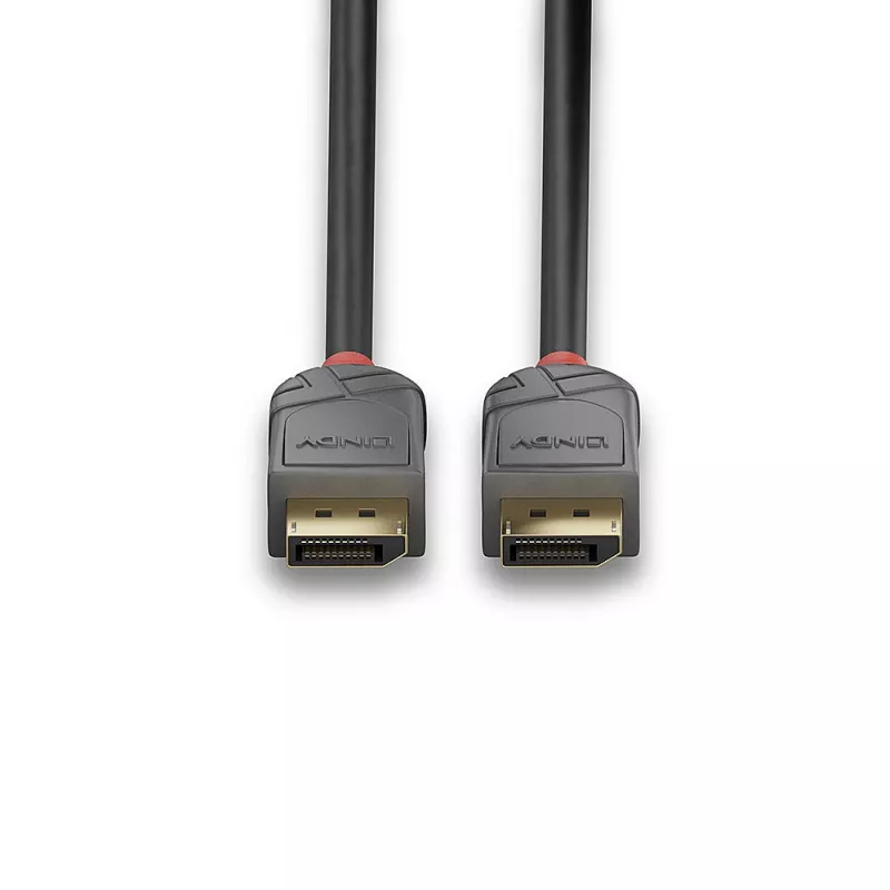 Cavo DisplayPort 1.1 Lindy 15 m, Anthra Line