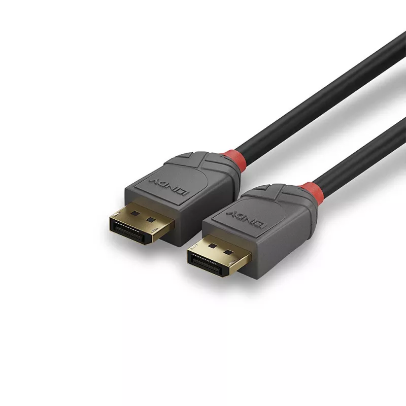 Cavo DisplayPort 1.1 Lindy 15 m, Anthra Line