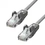 Cavo di rete ProXtend CAT5e U/UTP CCA PVC grigio 0,25 m