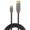 Cavo adattatore Lindy 0,15 m USB 3.2 Type-C a A, 10 Gbit/s, Anthra Line