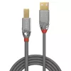 Cavo Lindy 1m USB 2.0 Type-A a B, Cromo Line