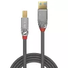 Lindy cavo USB 3.0 Type-A a B, 5 m, 5 Gbit/s, Cromo Line