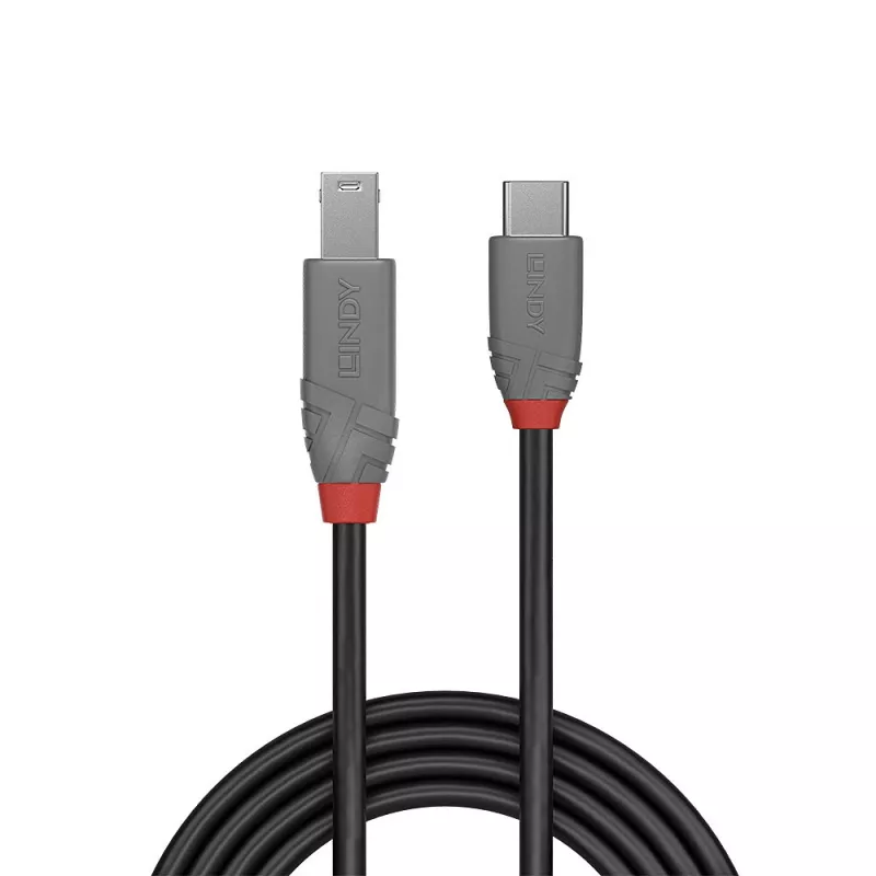 Lindy cavo USB 3.2 Type-C su B 0,5 m 5 Gbit/s nero