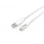 Cavo Equip USB 3.2 Gen 1 Type-C a Type-A, M/M, 2 m