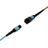 Lindy 38360 cavo in fibra ottica InfiniBand 100 m MPO multicolore