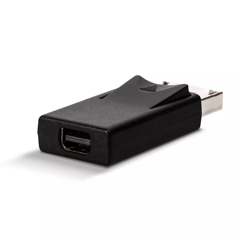 Adattatore DisplayPort a Mini DisplayPort Lindy 41089