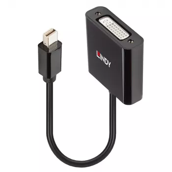Convertitore attivo Lindy Mini DisplayPort a DVI 0,16 m nero