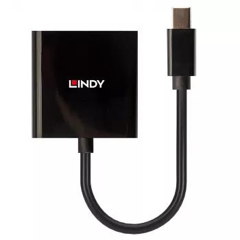 Convertitore attivo Lindy Mini DisplayPort a DVI 0,16 m nero