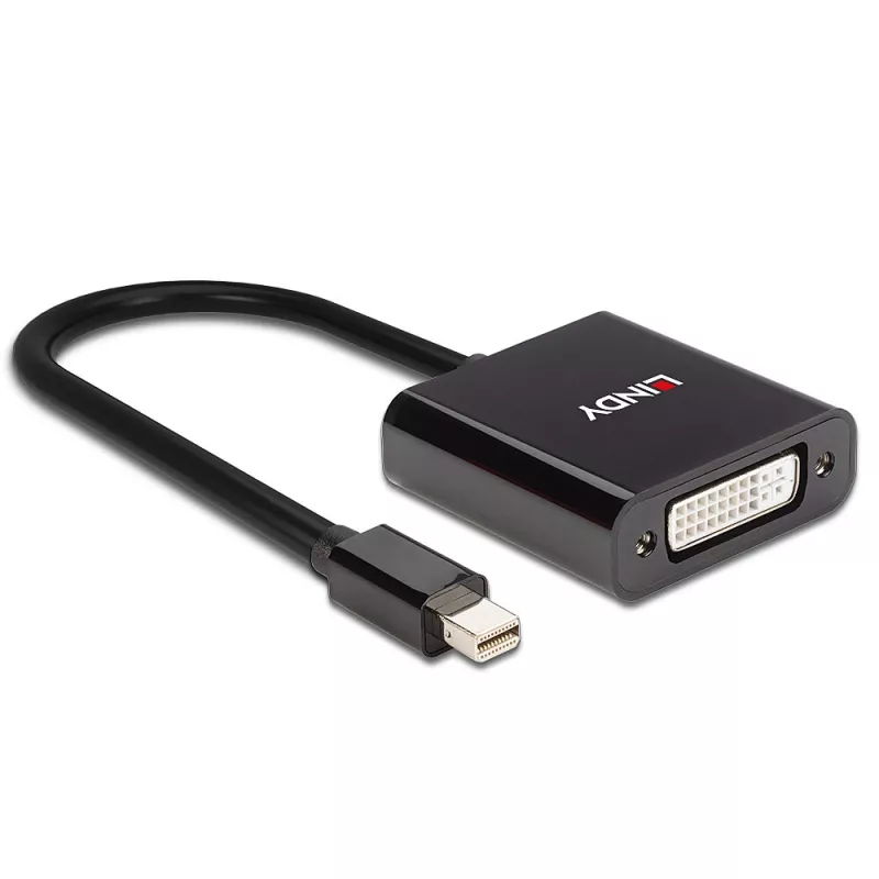 Convertitore attivo Lindy Mini DisplayPort a DVI 0,16 m nero