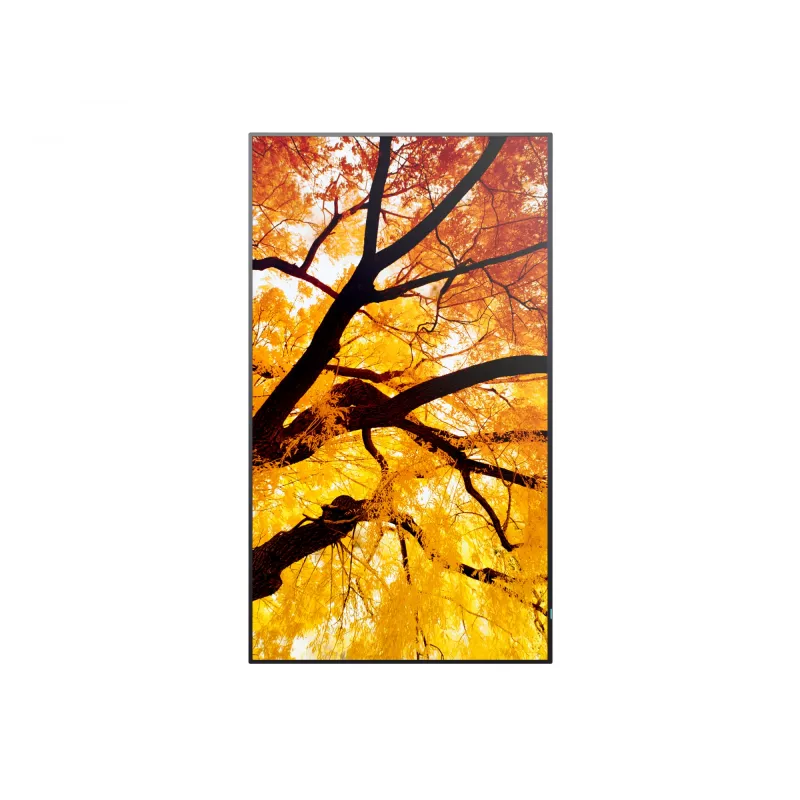 Sharp MultiSync PN-M982 display piatto interattivo 2,48 m (97,5 pollici) LED 550 cd/m² 4K Ultra HD nero 24/7