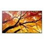 Monitor professionale per digital signage NEC MultiSync M862 — 86 pollici (2,18 m) LCD, 4K UHD 3840×2160, 550 cd/m², 24/7, nero