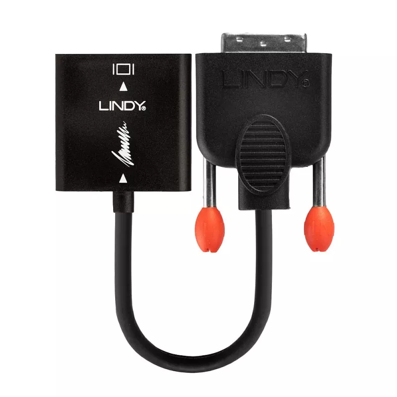 Convertitore DVI-D a VGA Lindy 38189