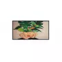 Philips Signage Solutions D-Line Digital Signage schermo piatto 127 cm (50
