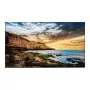 Monitor Samsung QE50T 50 pollici LED 4K Ultra HD display