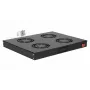 Equip ventole di raffreddamento 19', 1U, 4 ventole, RAL9005 nero
