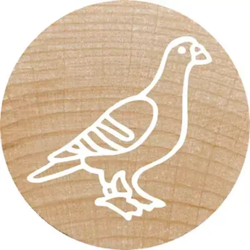Timbro Colop 165224 rotondo gomma legno 3 cm