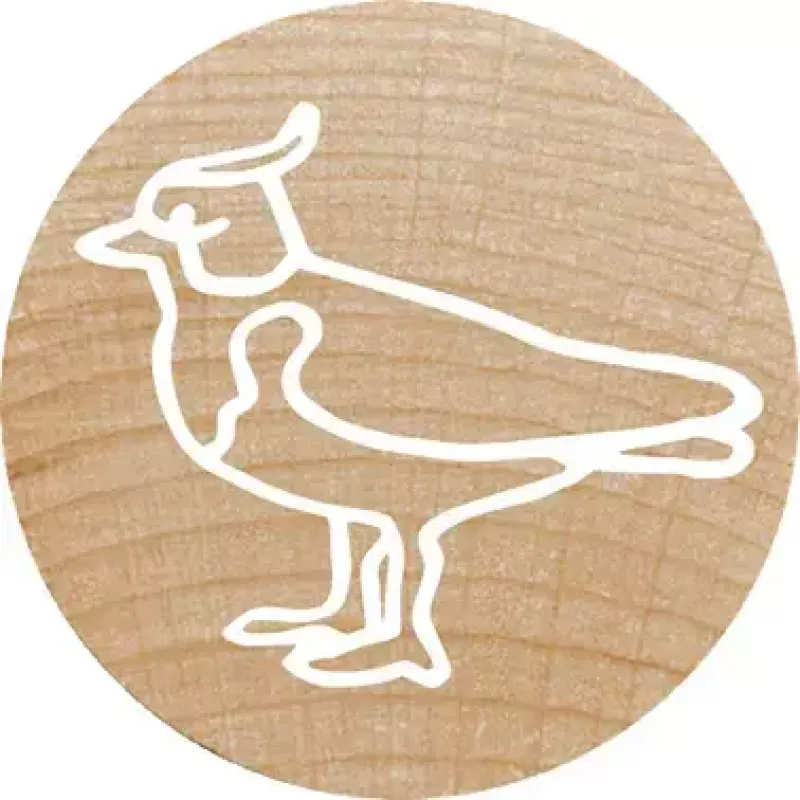 Timbro Colop 165224 rotondo gomma legno 3 cm