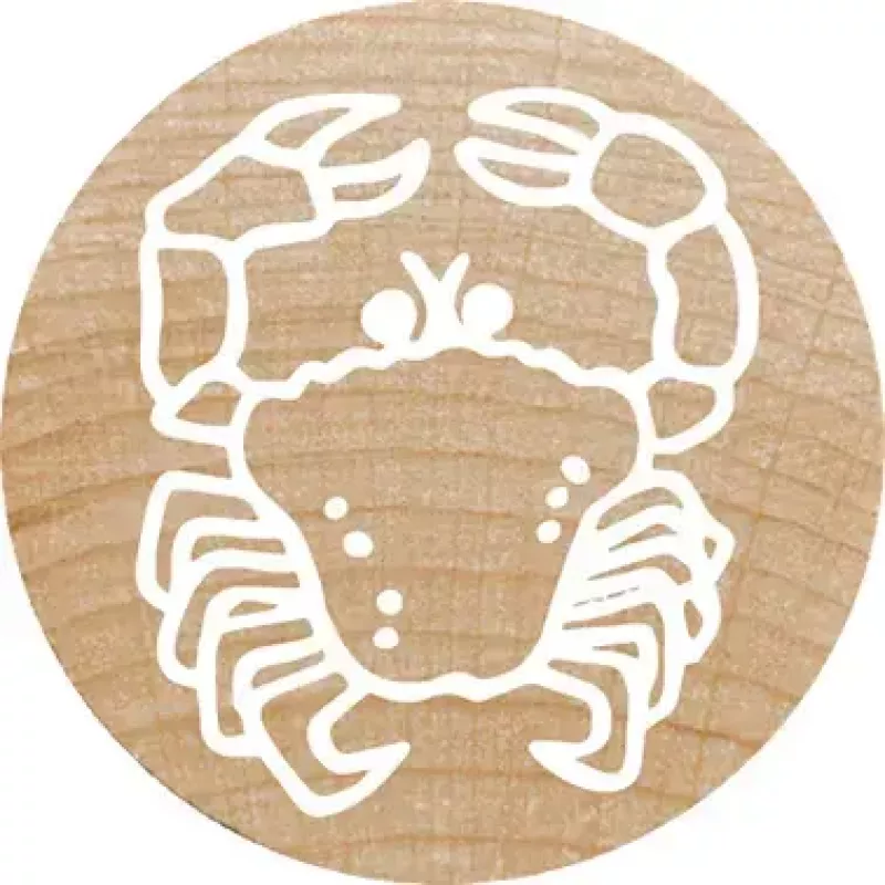 Timbro Colop 165224 rotondo gomma legno 3 cm