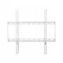 Techly ICA-PLB-162MW supporto a parete TV 139,7 cm (55