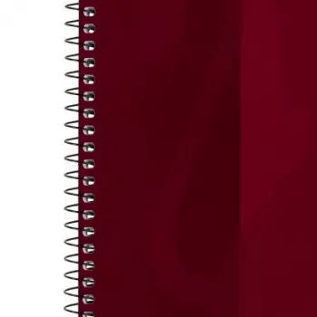Quaderno Oxford 100050355 A4 80 fogli bordeaux
