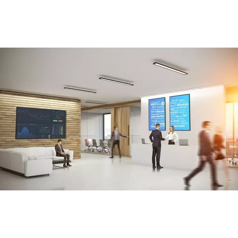 Digital signage schermo piatto Optoma N3651K 65