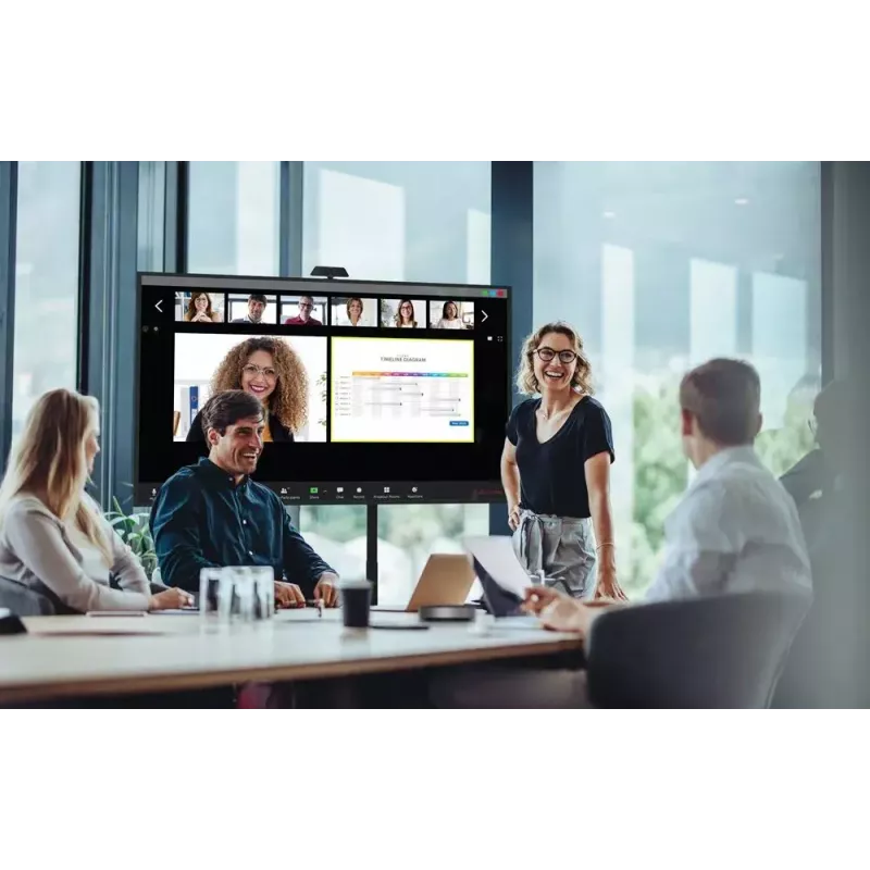 Digital signage schermo piatto Optoma N3651K 65