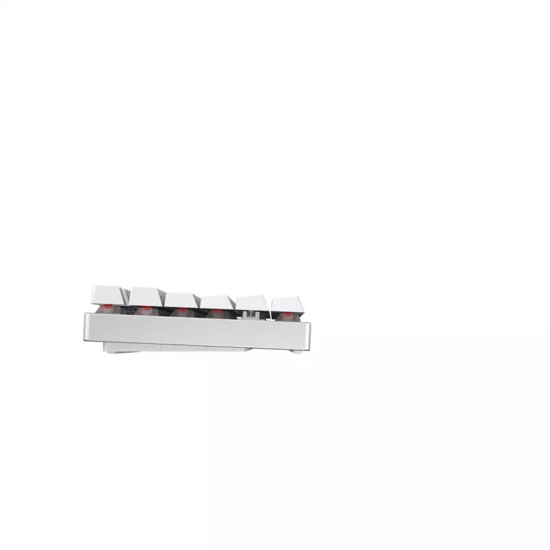 CHERRY MX 8.2 TKL Wireless RGB tastiera gaming RF Wireless + Bluetooth QWERTZ tedesco bianco