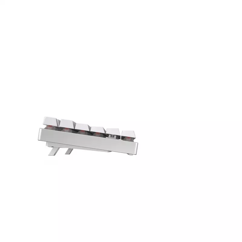 CHERRY MX 8.2 TKL Wireless RGB tastiera gaming RF Wireless + Bluetooth QWERTZ tedesco bianco