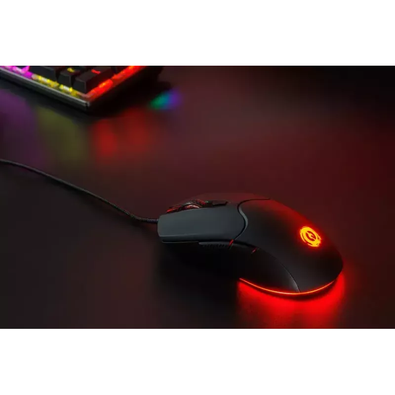 Mouse Canyon Gaming Accepter retroilluminazione RGB CND-SGM211 USB