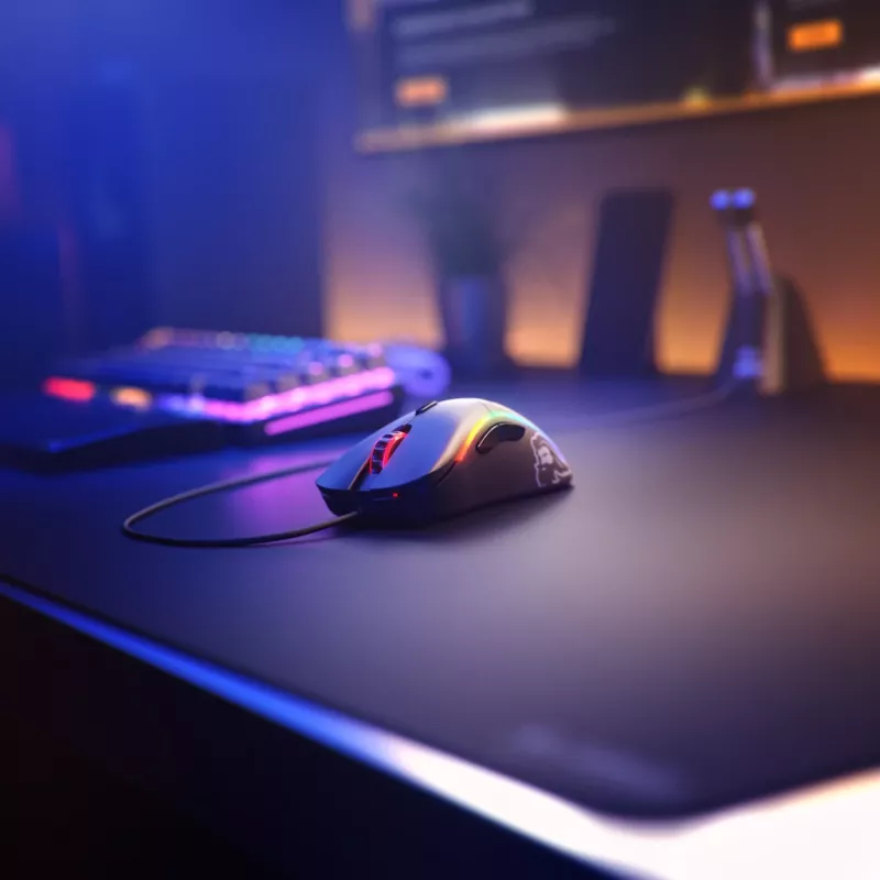 Glorious Gaming Glorious Model D mouse Regular (nero)