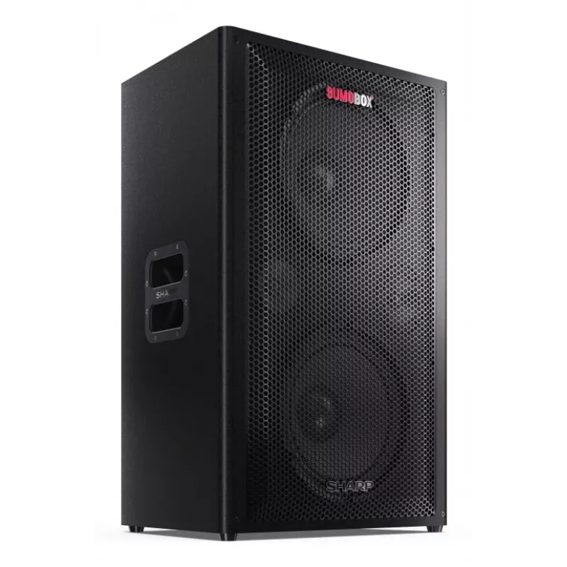Sharp CP-LS200 altoparlante portatile/party nero 200 W