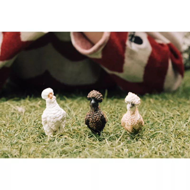 Personaggi giocattolo Schleich FARM WORLD Hühnerfreunde multicolore 42574