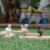 Personaggi giocattolo Schleich FARM WORLD Hühnerfreunde multicolore 42574