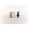 Personaggi giocattolo Schleich FARM WORLD Hühnerfreunde multicolore 42574
