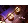 Philips Hue White E14 Luster lampadina LED, P45, 5,7 W, 470 lm (2 pz.)