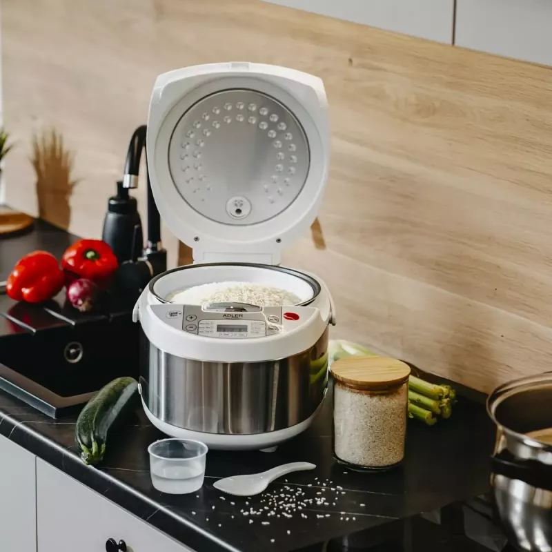 Multicooker Adler AD 6420 — 700 W, capacità 3,25 L, 6 programmi programmabili, display LED