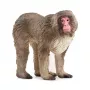 Figura Schleich WILD LIFE Macaco giapponese beige marrone rosa 14871