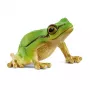 schleich WILD LIFE raganella europea, 3 anno/i, foresta, animali selvatici/giocattolo d'avventura, multicolore