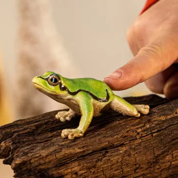 schleich WILD LIFE raganella europea, 3 anno/i, foresta, animali selvatici/giocattolo d'avventura, multicolore