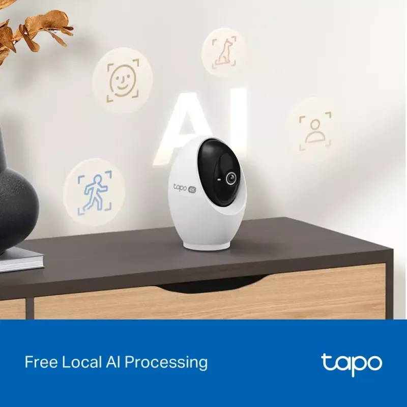 Telecamera di sorveglianza IP TP-Link Tapo C260 3840 x 2160 pixel