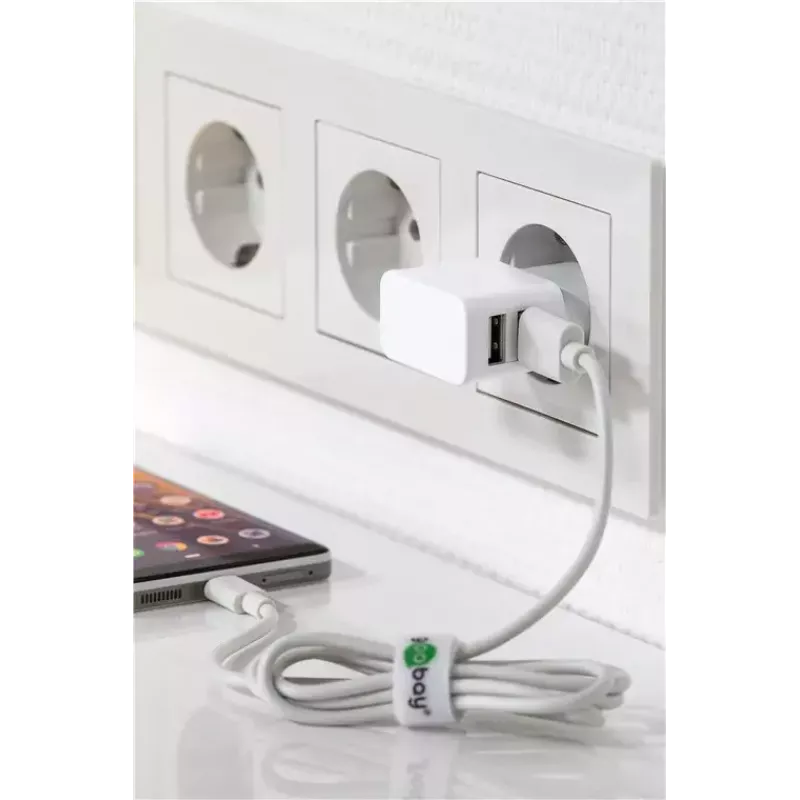 Caricabatterie da interno Wentronic 44979