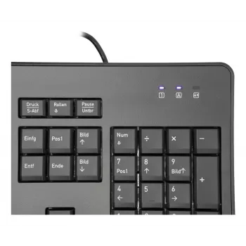 TERRA 1500 Tastiera Mouse inclusi Ufficio USB QWERTZ Tedesco Nero