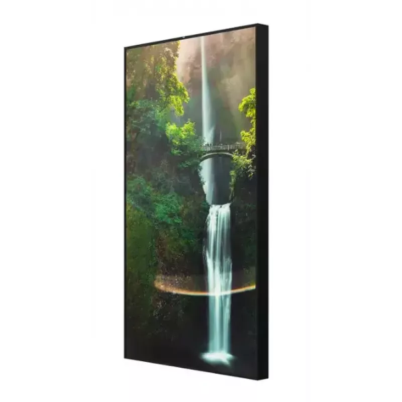 Hisense 55WH80F display digital signage ad alta luminosità da 55 pollici (139,7 cm) rivolto alla vetrina, 4K UHD, 4000 nit, 24/7
