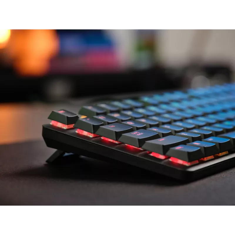 Trust GXT 866 Torix 24910 tastiera meccanica da gaming, cablata USB, retroilluminata, QWERTY US International, nero