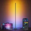 Lampada da terra Govee Matter RGBICW H8076C13 — illuminazione LED intelligente con RGBIC e bianco regolabile