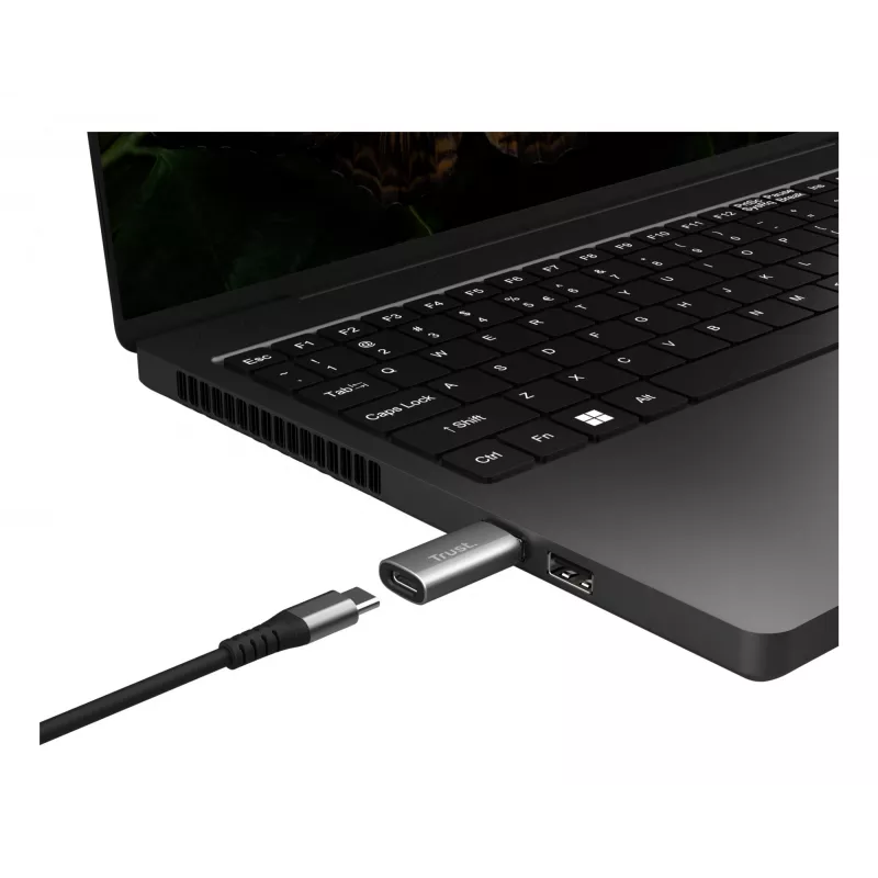 Trust Calyx USB Type-C USB Type-A grigio connettore 1 USB Type-C connettore 2 USB Type-A