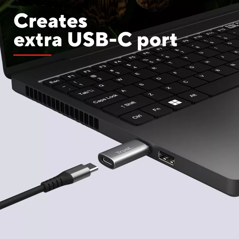 Trust Calyx USB Type-C USB Type-A grigio connettore 1 USB Type-C connettore 2 USB Type-A