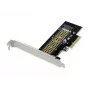 Adattatore Conceptronic EMRICK M.2 NVMe SSD PCIe