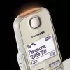 Telefono DECT Panasonic KX-TGE262GN con microtelefono cordless e identificazione chiamante